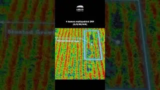 Mavic 3 Multispectral #shorts #shortsindonesia #shortsvideo #drone #dji #droneindonesia