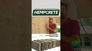 HEMPCRETE : strongest Building Material in nature Fire 🔥 , Water 💦 Mold 🦠 &  Pest 🐜 Proof pt 1