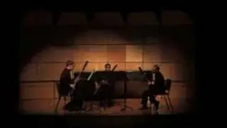 Bassoon Trio - Turkish march