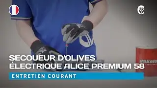 🇫🇷 Entretien courant: CAMPAGNOLA ALICE PREMIUM 58