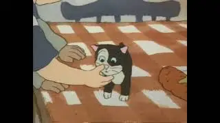 Peter, le chat sans queue (1982)
