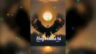 Hoy reinas t&uacute; 