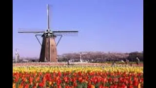 Hidden gem in Chiba. Sakura Furusato Square and Samurai residence | Japan Traveling