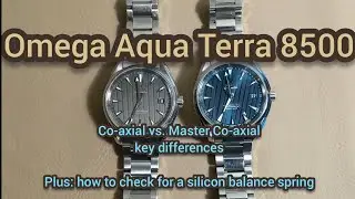 Omega Seamaster Aqua Terra 8500 watches: 
