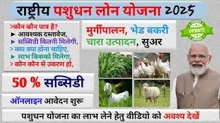 National Animal Loan Scheme 2025 | National Livestock Mission | राष्ट्रीय पशुधन लोन योजना 2025&nbsp;#nlm