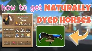 How to Get *NATURALLY DYED* Horses + What They Are | Wild Horse Islands