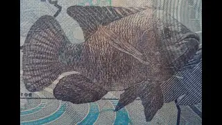 Uganda 2000 Shillings Banknote - 2010 Issue