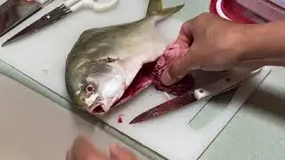 How to clean Butterfish or Pomfret