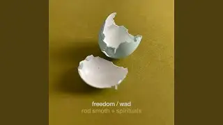 Freedom