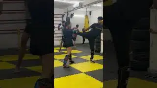 Face kick training #fighttraining #martialarts #mma #facekick #kicks #kicktraining #combatsport