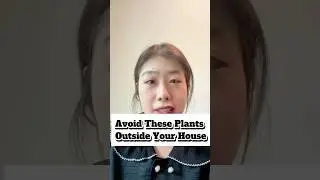 Avoid these plants outside your house #风水 #fengshui #realestate #spirituality  #shorts