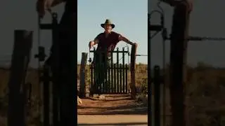 wolf creek 3 max short
