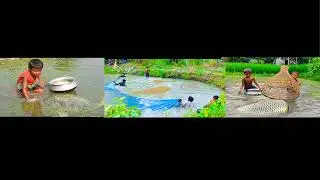 Asian Traditional Net Fishing | Fishing in Village by ABTVbd