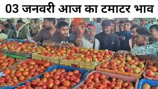 3 February 2026 आज का टमाटर भाव टमाटर सस्ता है Dhamdha Mandi #Rohansabjiwala #cg #farming #food 