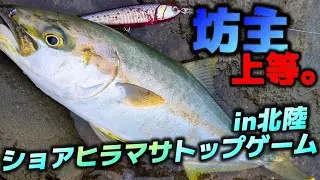 【気合でヒラマサいけ】北陸ショアヒラマサトップゲームで歓喜の一本！！【ロックショア】