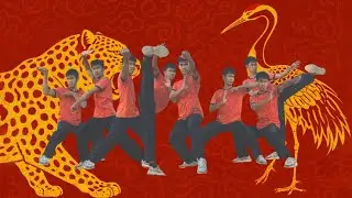 蔡李佛 – 鶴形拳，鐵箭拳，五形拳 Choy Lee Fut –Hok Ying Kuen, Tit Zin Kuen,  Ng Ying Kuen