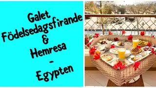 Ett galet födelsedagsfirande, hemresa och sammanfattning