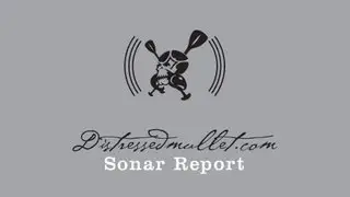Distressed Mullet Paddle Sonar Report 10-9-13