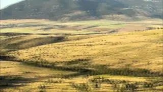 Record Quest: Open-Country Elk