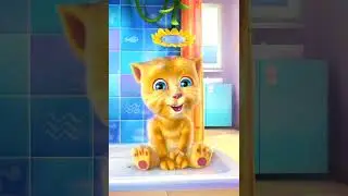 Talking Ginger app 