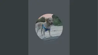 Loving kuku is live