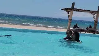 Los ni&ntilde;os en Punta Arena