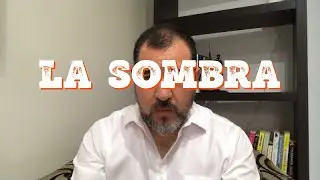 Niño interior: Encontrando la herida con la sombra