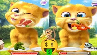 My Talking Ginger 2 🍒🐒🌶️ How to games play||preview 2 numa cat effects in g major#viralvideo 