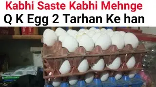 30 Eggs Today New Rate list in Lahore Pakistan