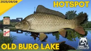 Old Burg carp Hotspot - Russian Fishing 4