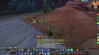 SOD Heal Mage leveling lvl41 second mage WoW Classic