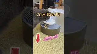 #dogwaterfountain #petwaterfountain #catwaterfountain #waterfilter #catsoftiktok