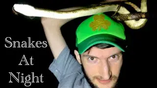 How To Find Snakes At Night