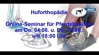 Hufkurs 04.08 und 12.08