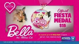 The Alamo reveals new Fiesta medal featuring Bella 'the Alamo cat'