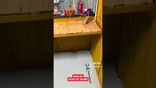 Kiot chuỗi thương hiệu cơm g&agrave; da gi&ograve;n