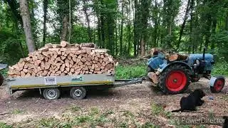 Mit Eicher ED 16, ziehen wir ca. 4-5 T. schweren Anh&auml;nger mit Holz durch tiefen Matsch den Berg hoch