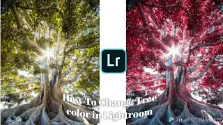 How to Change Tree Color On Mobile In Lightroom || Change the Colour of Leave In Lightroom ||MTvMaza