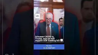 Chuck Schumer CAVES To Trump On Government Funding