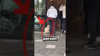 Just a Puppy. Just Hope #heartbreakingmoments #watchthis  #animalshavefeelingstoo #PuppyInPain