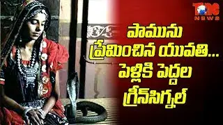 Girl Loves Snake Gets Elders Nod For Marriage