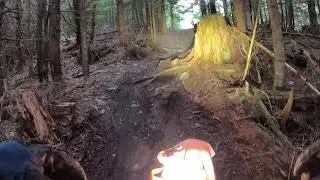 Nov 7 2020 Solo 350 Ride