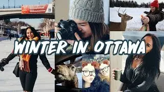 BEST WINTER ACTIVITIES IN OTTAWA, ONTARIO, CANADA 2019