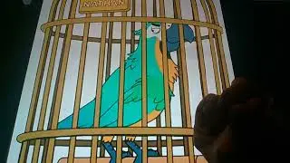 Horacio the handsnake - Nathan (parrot)