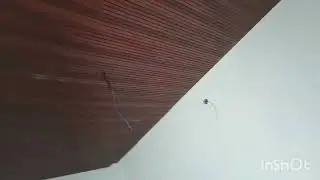 Building सिलिंग वर्क सबसे सस्ता और सुंदर #naksa #tranding #amazing