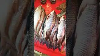 Tasty fish price 1$ 1kg