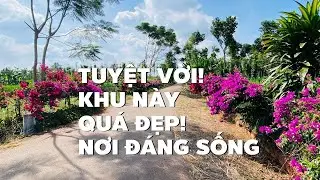 Quá rẻ! Chỉ còn 700tr cho mảnh vườn đẹp ở BR-VT ngay gần chợ trung tâm