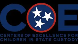 ID/DD Services for Child Welfare Involved Families