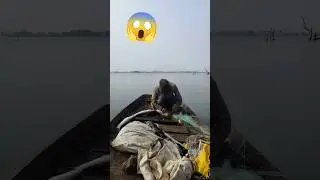 How We Catch Naren in the River with Traditional Nets!#roha #shorts #viral#hugefish#viralvideo