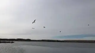 Shore fishing at sprague lake Washington near Spokane and Cheney